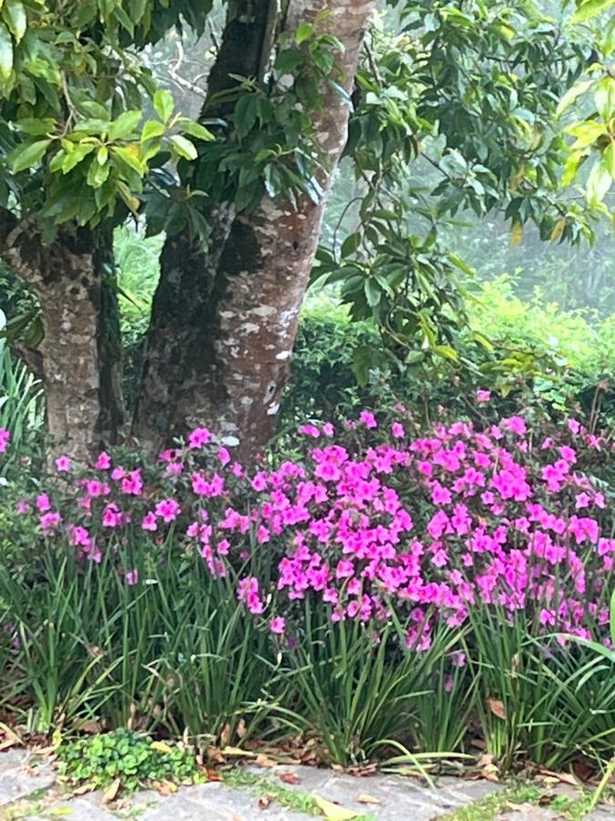Sitio Nossa Senhora De Loreto Campos do Jordão Eksteriør bilde