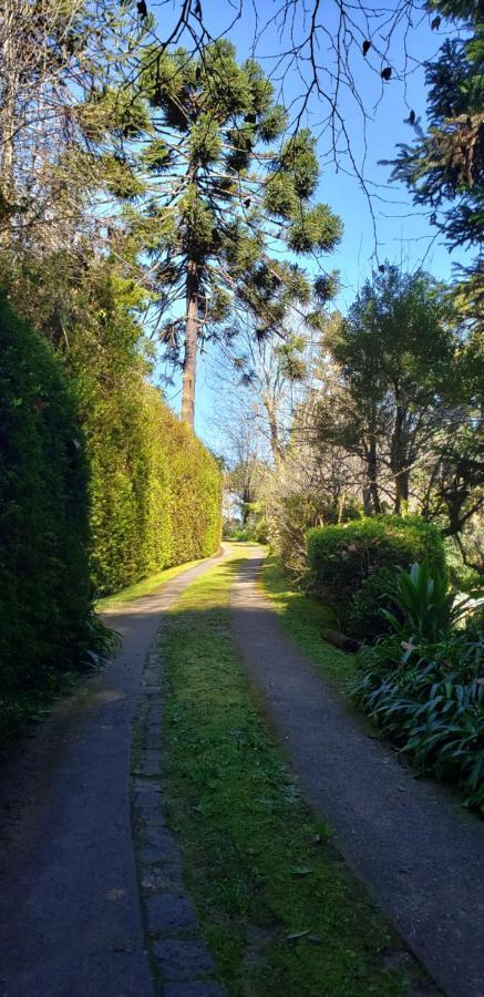 Sitio Nossa Senhora De Loreto Campos do Jordão Eksteriør bilde